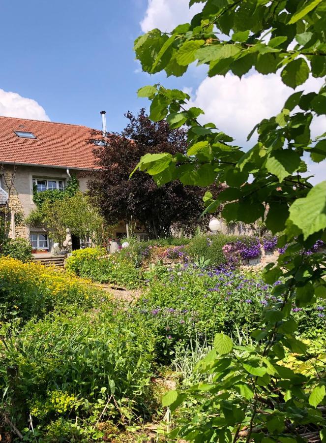 Le Clos Des Pommes Bioncourt Exterior photo